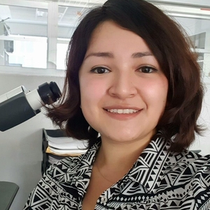 Dra. Diana Laura Figueroa Gamiño